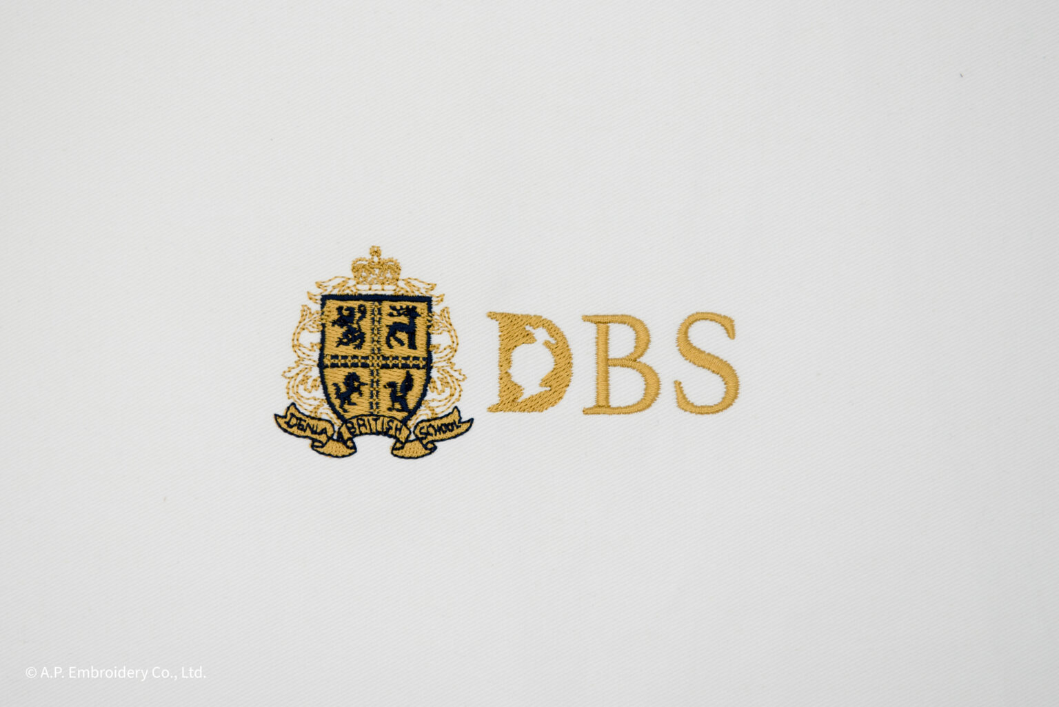 B014_DBS_Logo